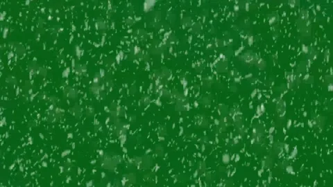 Winter Snowfall overlay on green background. winter snow flurry. Stock Footage 296218609
