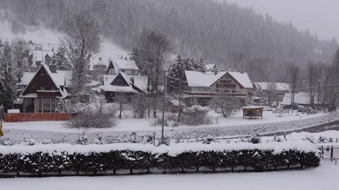 Winter snowfall with pine trees in the town of Zakopane, Poland Stock Footage 291997061