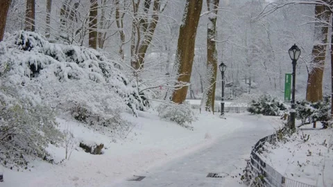 Winter snowfall scene in Fort Tryon Park, New York City, featuring snow-covered Stock Footage 309309279