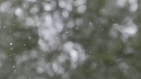 Winter Snowfall Slow Motion Snowflakes forest background 動画素材 78450977