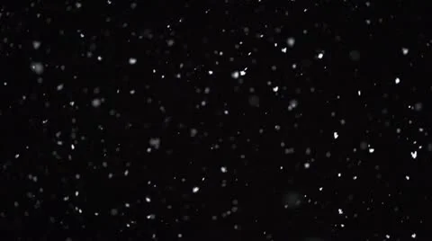 Winter snowfall. Snow Slow motion filmed at 250fps outdoors with studio lighting Vidéo 21234032