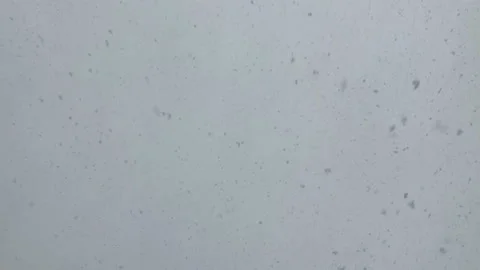 Winter snowfall with snowflakes on a gray sky background. Stock Footage 148347887