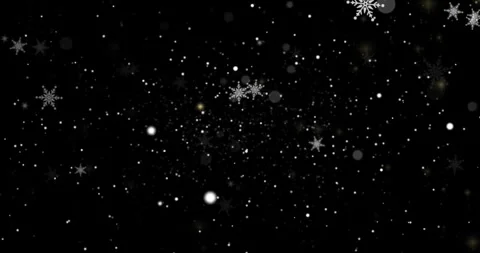 Winter Snowfall with Sparkling Snowflakes and Lights on Black Background Stock Footage 342153261