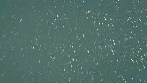 Winter snowflakes background Stock Footage 101072928