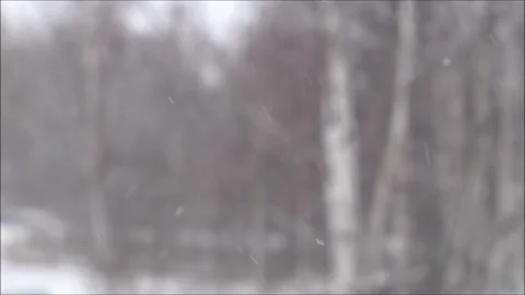 Winter Snowflakes Falling Animation Stock Footage 307892634