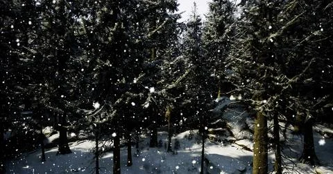 Winter snowflakes gently falling through tall evergreen trees in forest Illustrazione stock
