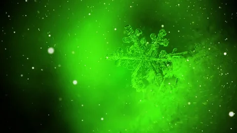 Winter snowing background Stock Footage 82195000