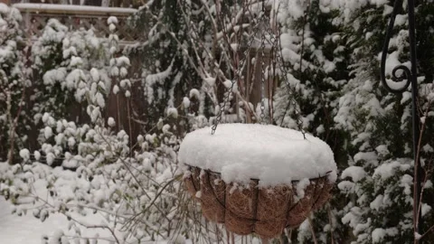Winter. Snowing in a backyard. Details. 스톡 동영상 167525721