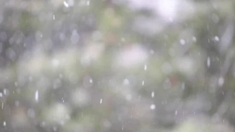Winter snowing, snow flakes falling from the sky Stock Footage 74661526