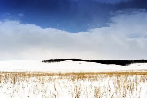 Winter snowscape of wild fields with weeds and large snow clouds and areas of Stock Photos