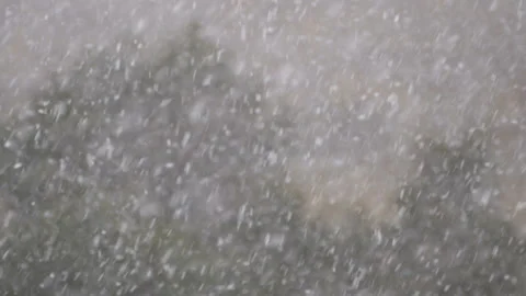 Winter Snowstorm with Blurry Forest Background Stock-Footage 96408447