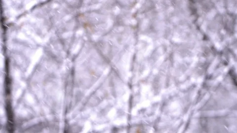Winter Snowstorm with Blurry Forest Background. Видео 98816595