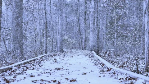 Winter Snowstorm Drops Snow on a Boardwalk Deck Trail in a Forest Stock Footage 106909113