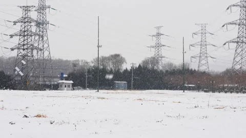 Winter snowy cold climate vegetable field farm Stock Footage 261806504