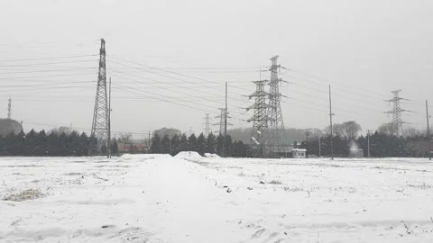 Winter snowy cold climate vegetable field farm Stock Footage 261823406