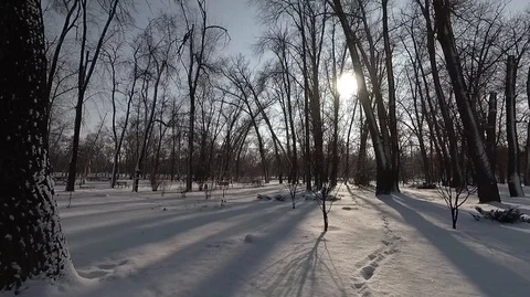 Winter on a snowy day Stock Footage 101337201
