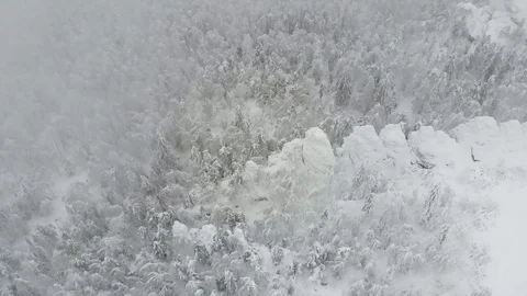 Winter snowy forest appear from the clouds, drone fly through the clouds Stock Footage 122431837