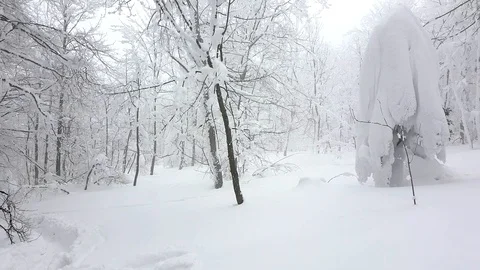 Winter snowy forest 動画素材 87071807