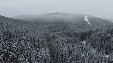 Winter snowy forest in the mountains, top view. 库存影片 121384479