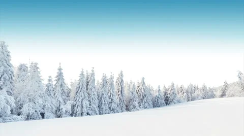 Winter snowy landscape Stock Footage 55649302