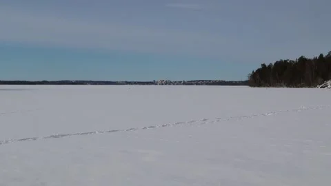 Winter snowy landscape Stock Footage 256105661
