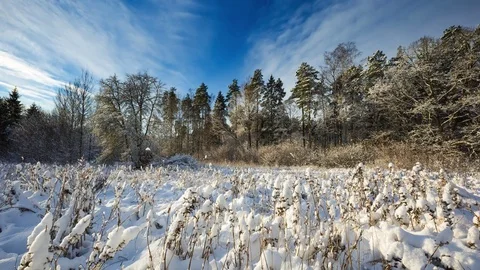 Winter snowy landscape with lot of snow Stock Footage 70265448