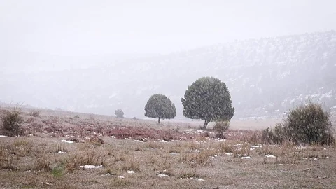 Winter snowy landscape in a snowfall Stock Footage 98304937