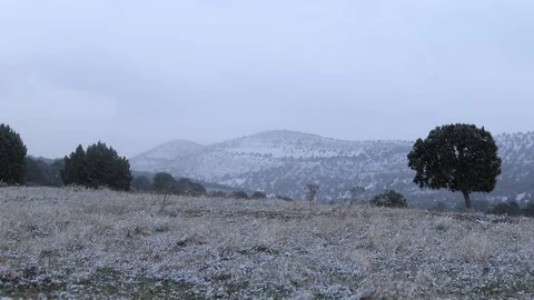 Winter snowy landscape in a snowfall Stock Footage 98304955