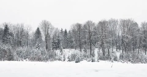 Winter snowy landscape with snowfall Stock Footage 141337891