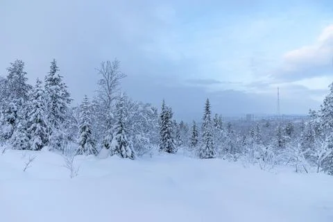 Winter is snowy Stock Photos