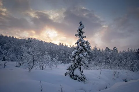 Winter is snowy Stock Photos