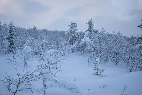 Winter is snowy Stock Photos