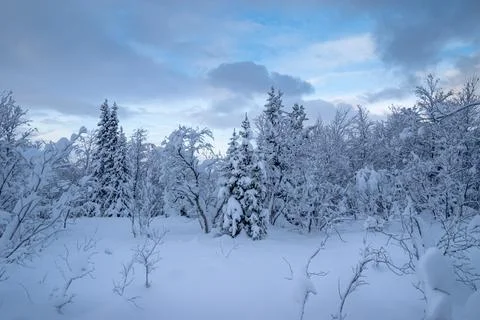 Winter is snowy Stock Photos