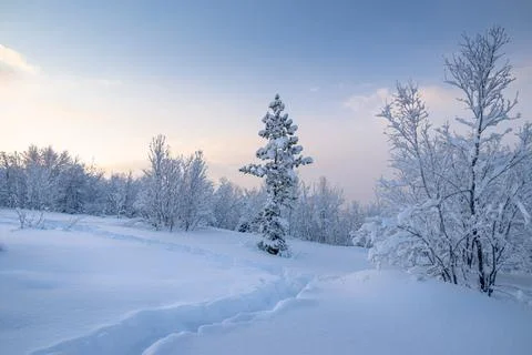 Winter is snowy Stock Photos