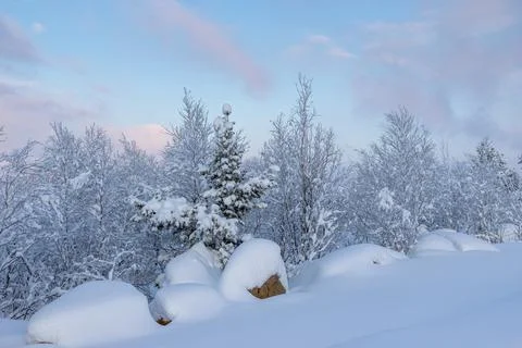 Winter is snowy Stock Photos