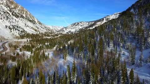Winter Snowy Pine Trees Aerial Canyon Flyover Vídeos de archivo 77114645
