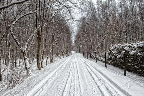 Winter snowy road Stock Photos