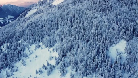 Winter snowy spruce forest under a rocky mountain at sunset. Shot from a drone. Video stock 227712032