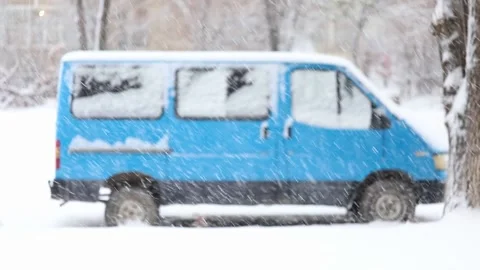 Winter snowy trees close up Stock-Footage 237507681
