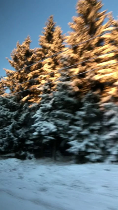 Winter, snowy, trees 스톡 동영상 176889036