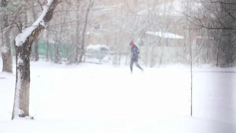 Winter snowy trees in the park Video stock 240481363