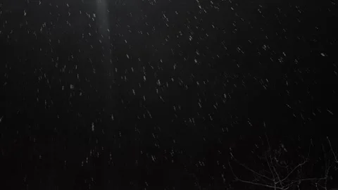 Winter softly falling snowflakes against dark night sky. Stock Footage 294929591
