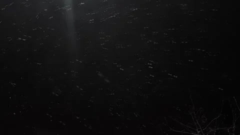 Winter softly falling snowflakes against dark night sky. Stock Footage 294929601
