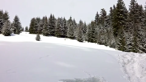 Winter sport activity. Hiking with backpack and snowwhoes Vídeos de archivo 104083891