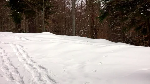 Winter sport activity. Hiking with backpack and snowwhoes Stock Footage 104085537