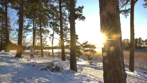 Winter sport for all ages - nordic walking Active people hiking in snowy forest Stock Footage