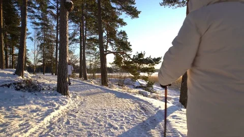 Winter sport for all ages - nordic walking Active people hiking in snowy forest Stock Footage