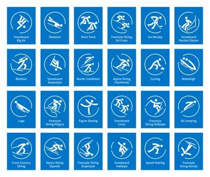 Winter sports icons set, vector pictograms Stock-Illustration