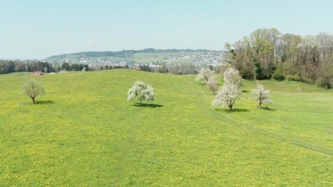 Winter - Spring changing at one moment. Stock Footage 151842478