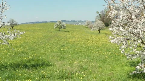 Winter - Spring changing at one moment. Stock Footage 151842779